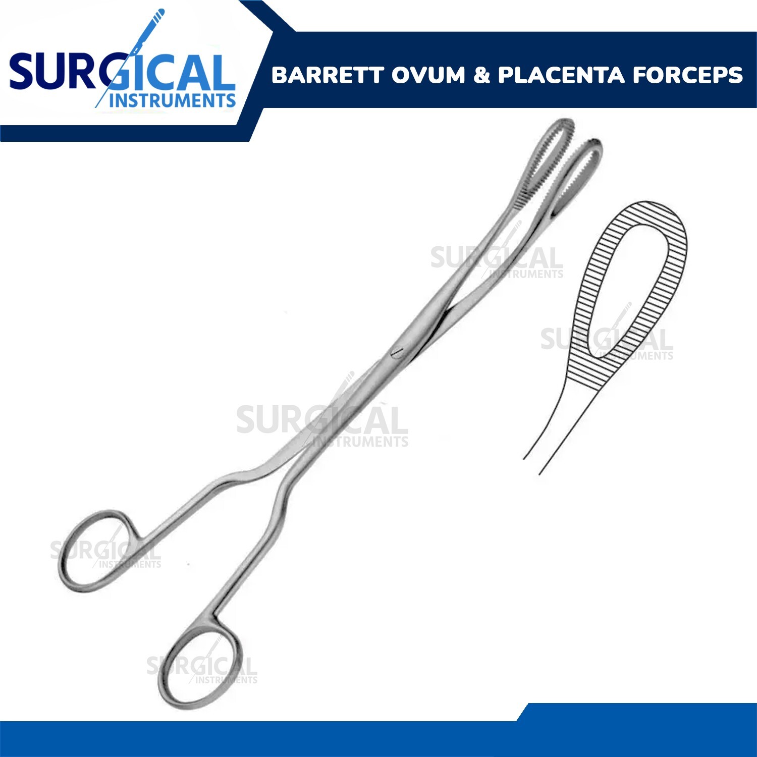 Barrett Ovum & Placenta Forceps Obstetrical OB/GYN Surgical Instruments