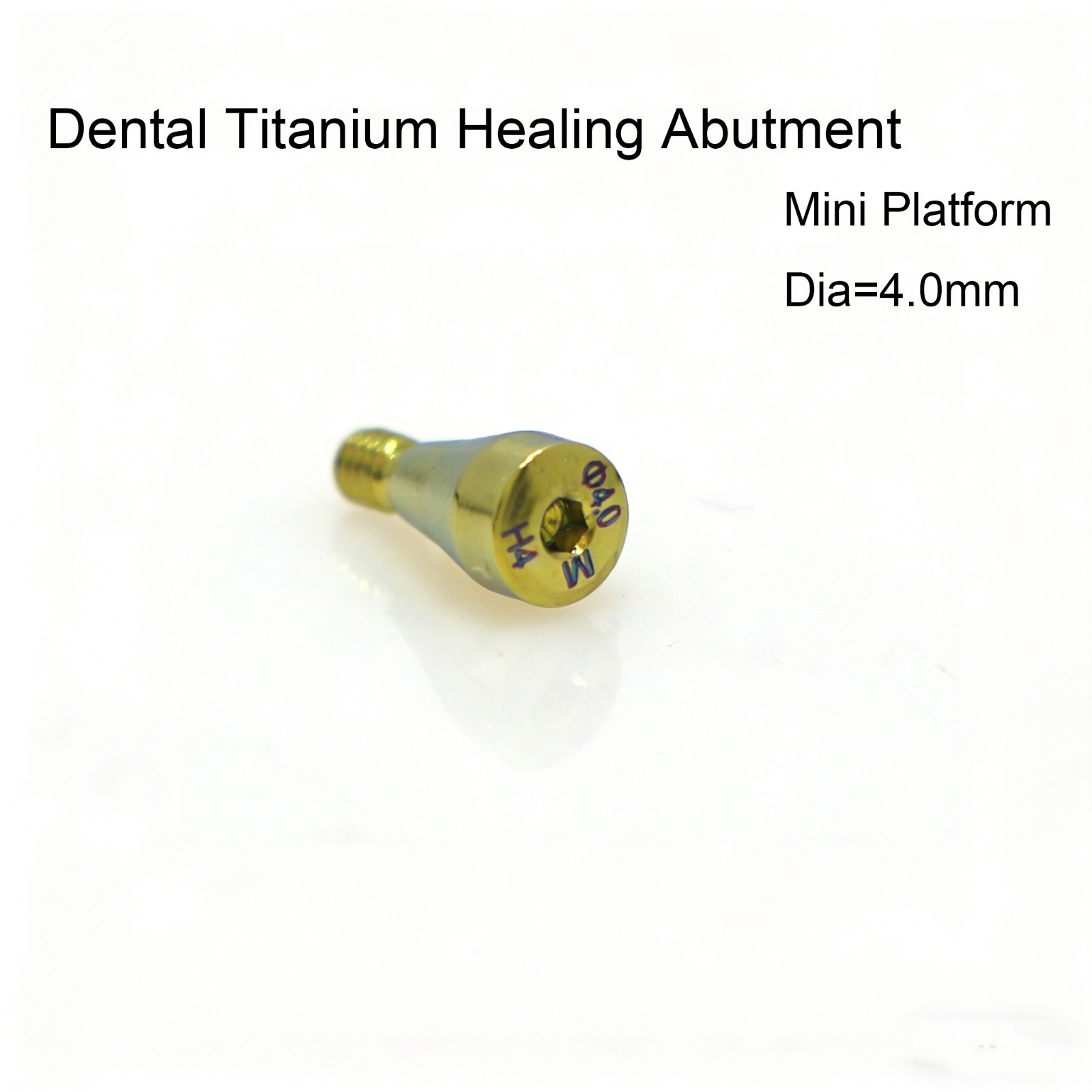 US Osstem Hiossen Dental Healing Abutment Cover Screw Mini Regular Compatible