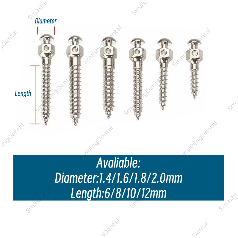 Dental Orthodontic Implant Mini Micro Screw Titanium Bone Screws Screwdriver