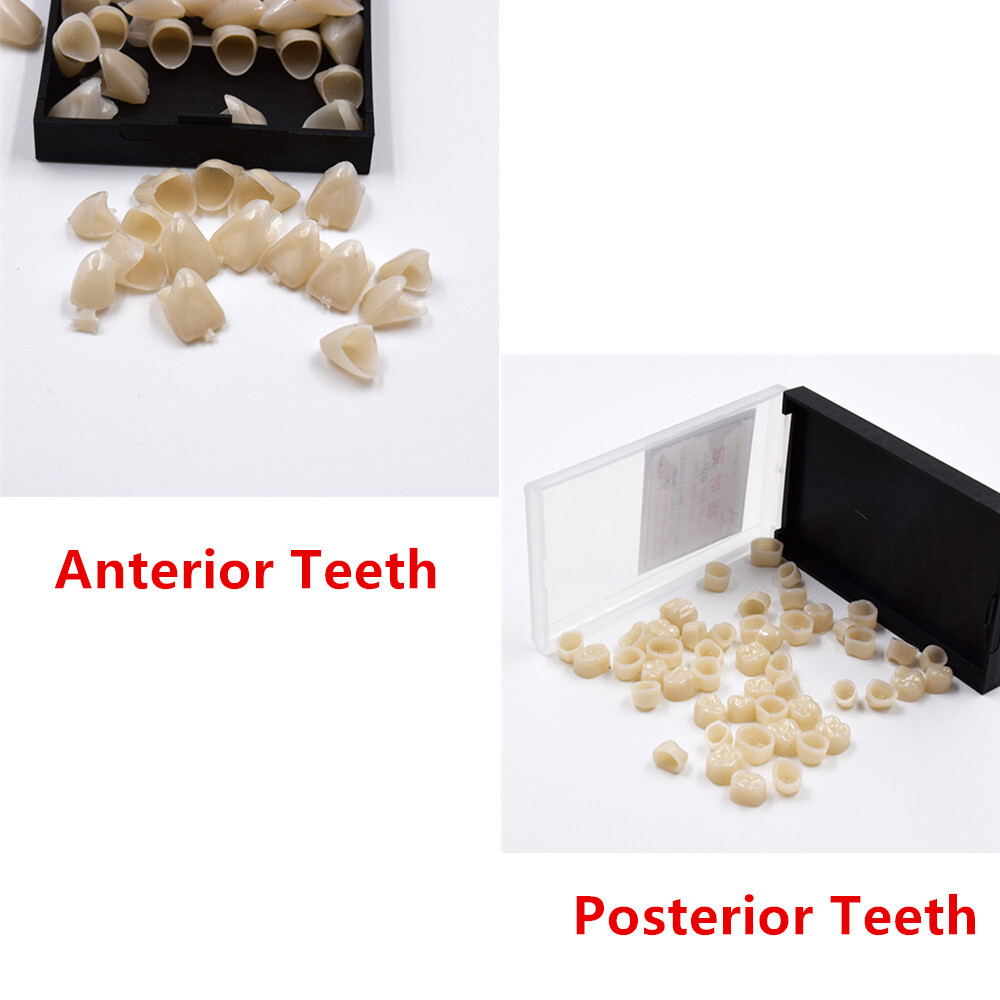 Dental Aesthetics Anterior Front/Posterior Molar Teeth Temporary Crown Veneers