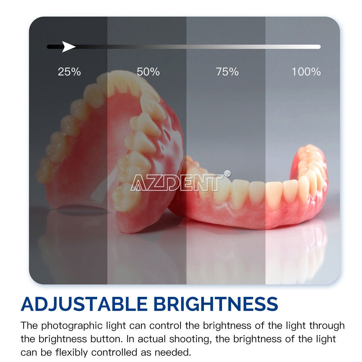 Dental Supplementary Oral LED Lamp With Bracket / Photo Contrast Background