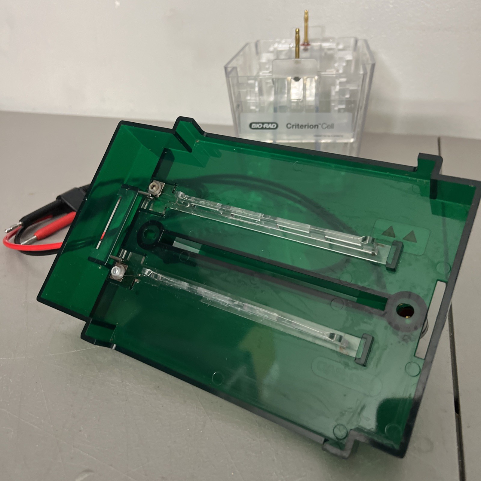 Bio-Rad Criterion Cell Midi Vertical Electrophoresis System Biorad- Working