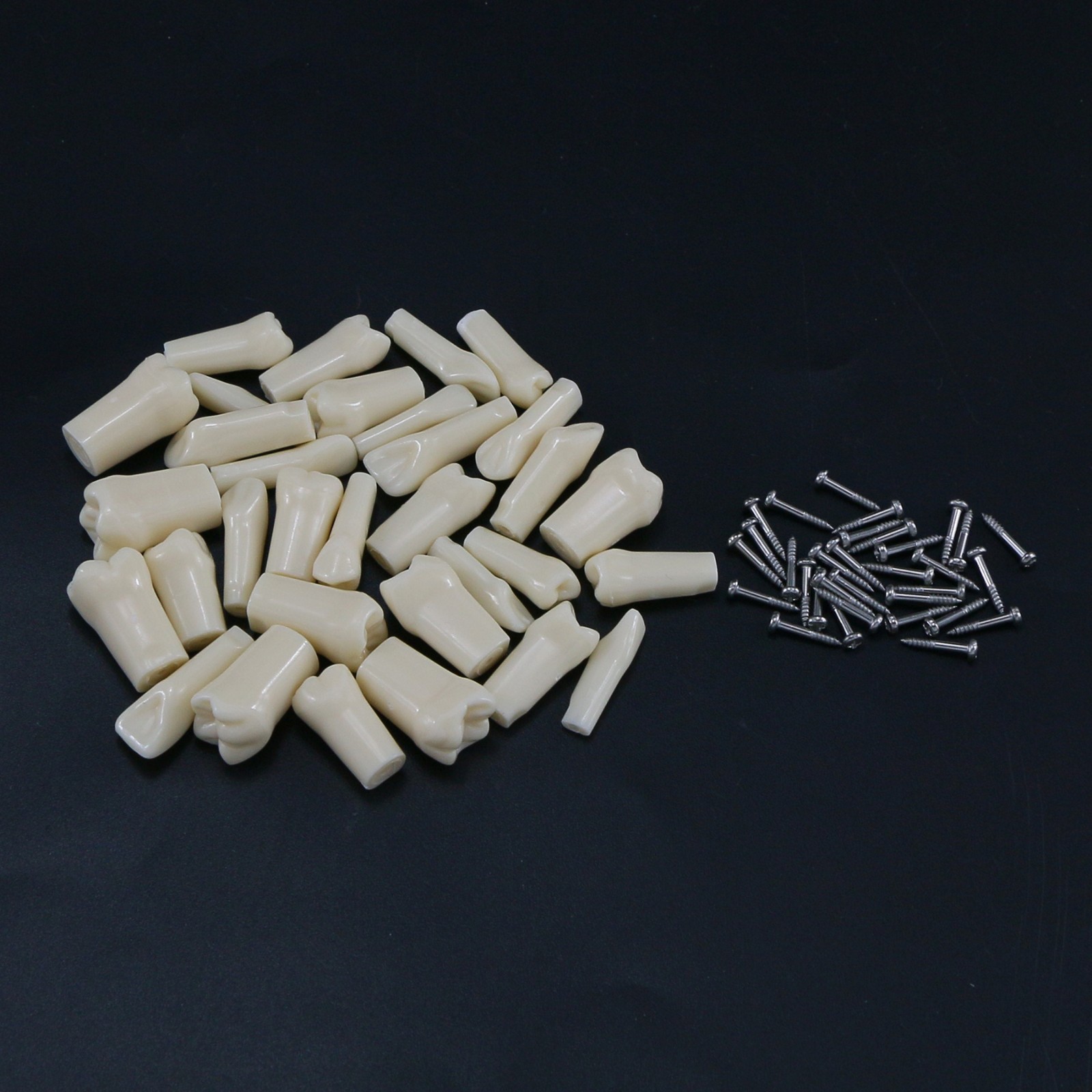 Dental Typodont Replacement Teeth Screw-in Model fit Kilgore NISSIN 200/500 Type