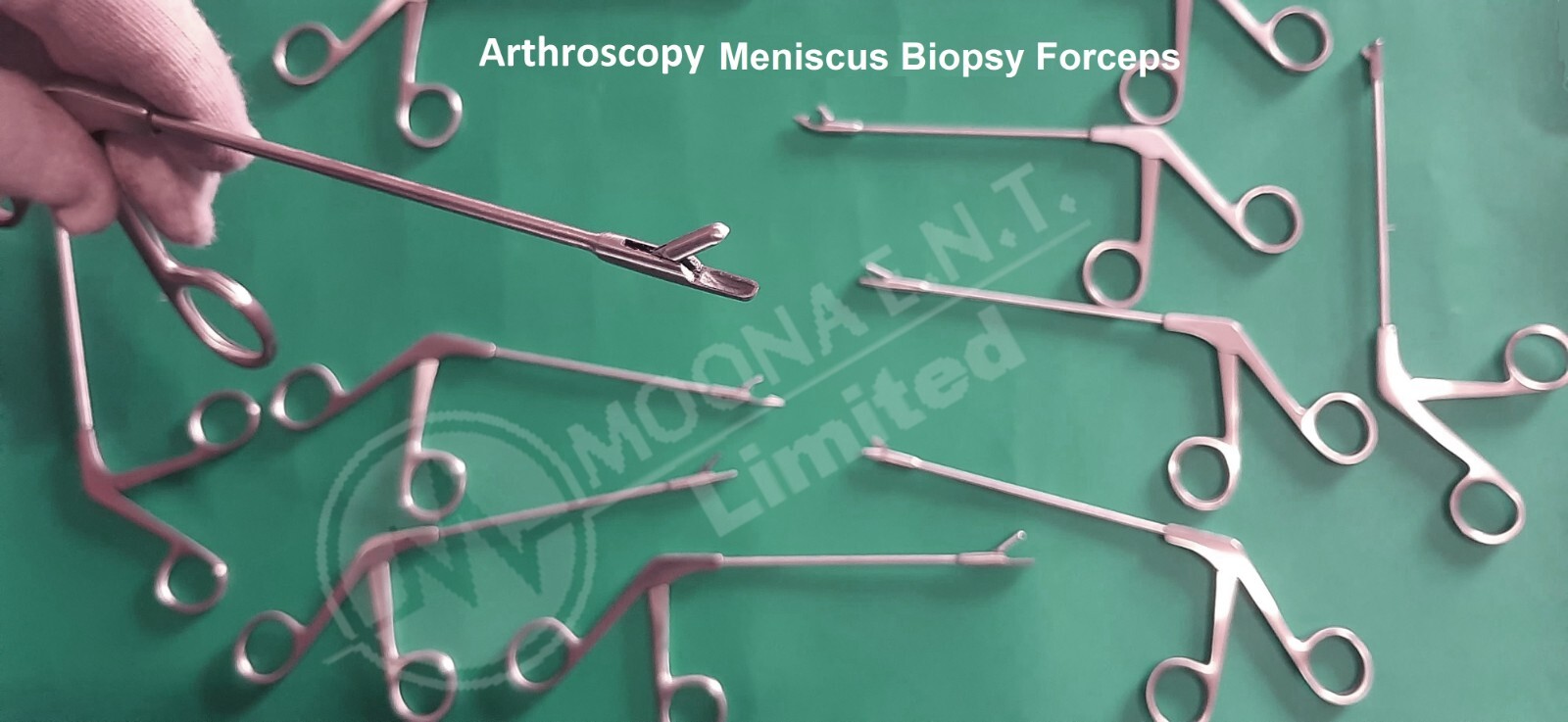 Orthopedics Arthroscopy Arthroscopic 3.5 mm Diameter Meniscus Biopsy Forceps