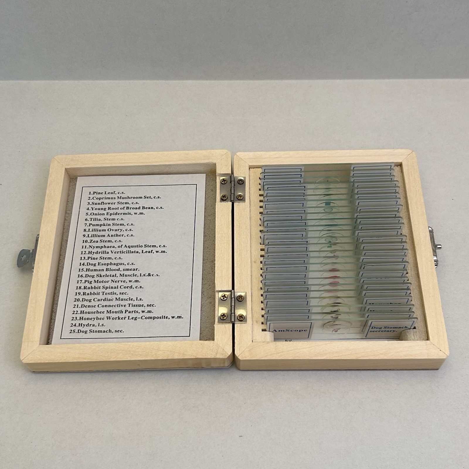 AmScope PS25W 25 Prepared Microscope Slides Glass with Wooden Box Homeschool