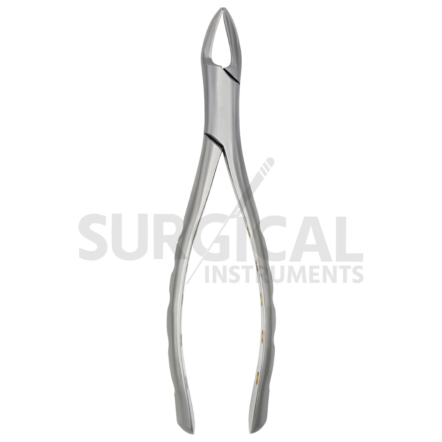Heavy Duty Stainless Extraction Forceps #150 – Gold Hollow Python Grip German Gr