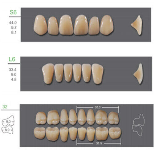 Huge Kaili Synthetic Polymer False Teeth Shade A3Full Set: 28 teeth/set 4 sets