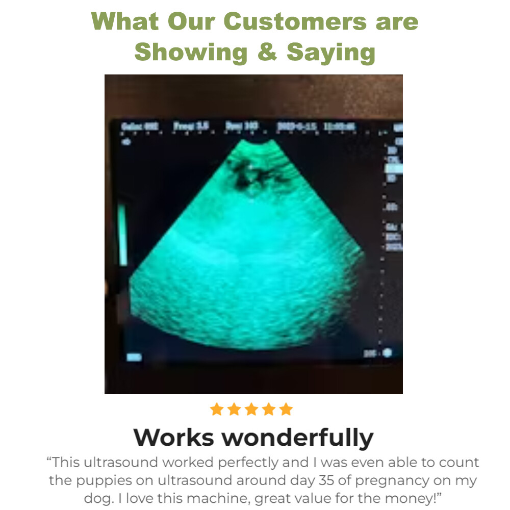 Veterinary Ultrasound Machine – Pregnancy Detection In Dogs, Pigs, Goats, Sheep