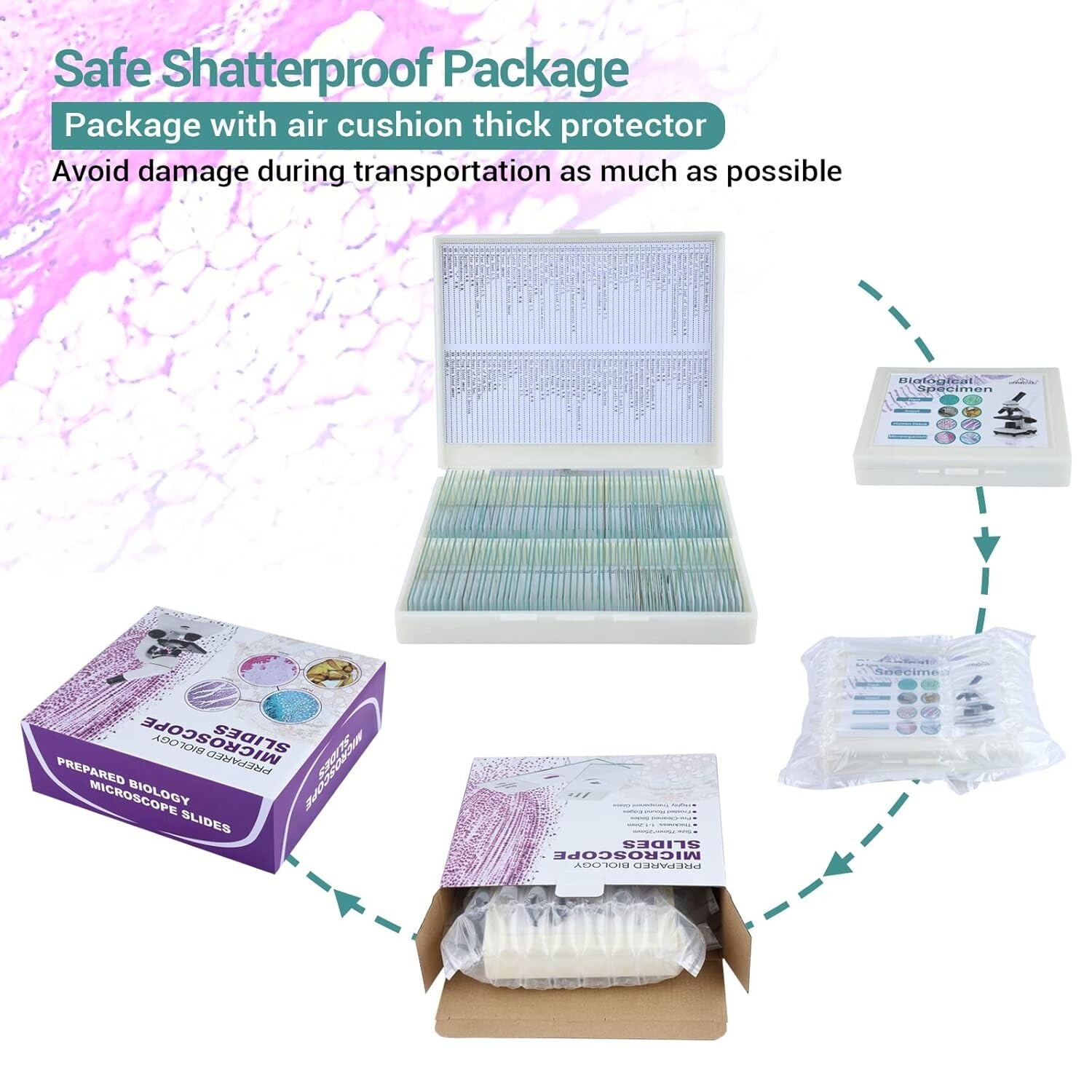 High-Quality Glass Microscope Slides with 100 Various Specimens – Kids & Adults