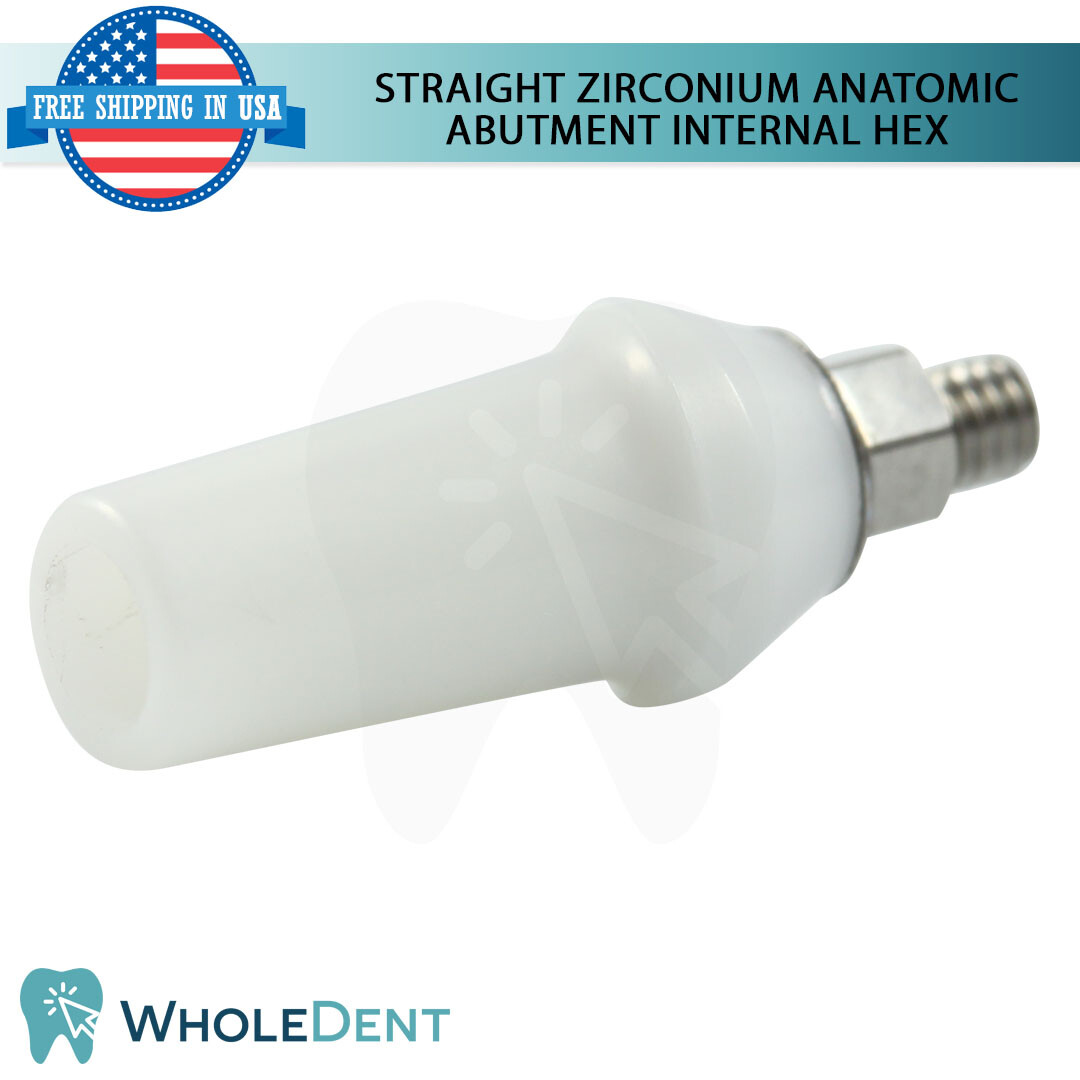 1x Straight Anatomic Zirconium Abutment Int Hex 2.42mm Dental Instrument Ø5.2mm