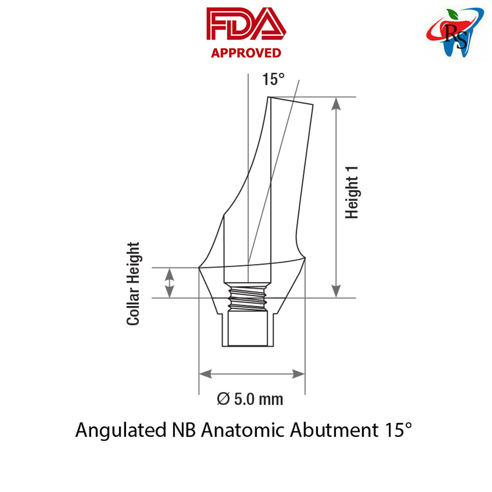 10pcs DSI Abutment Anatomic Angulated 15° Conical Connection RP Ø5.0-4.3mm