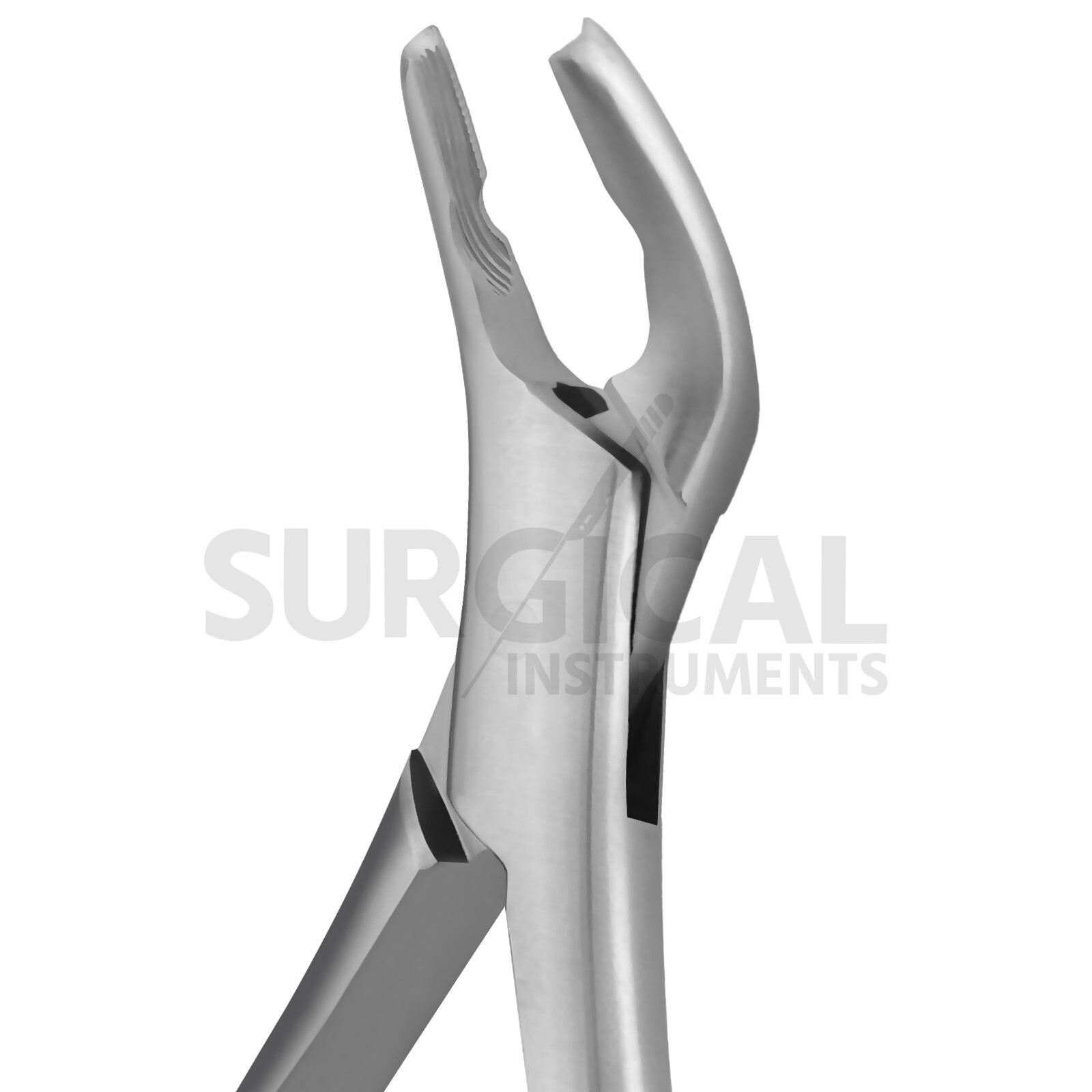 Heavy Duty Extraction Forcep #151 Gold Hollow Python Grip German Grade Pattern-2