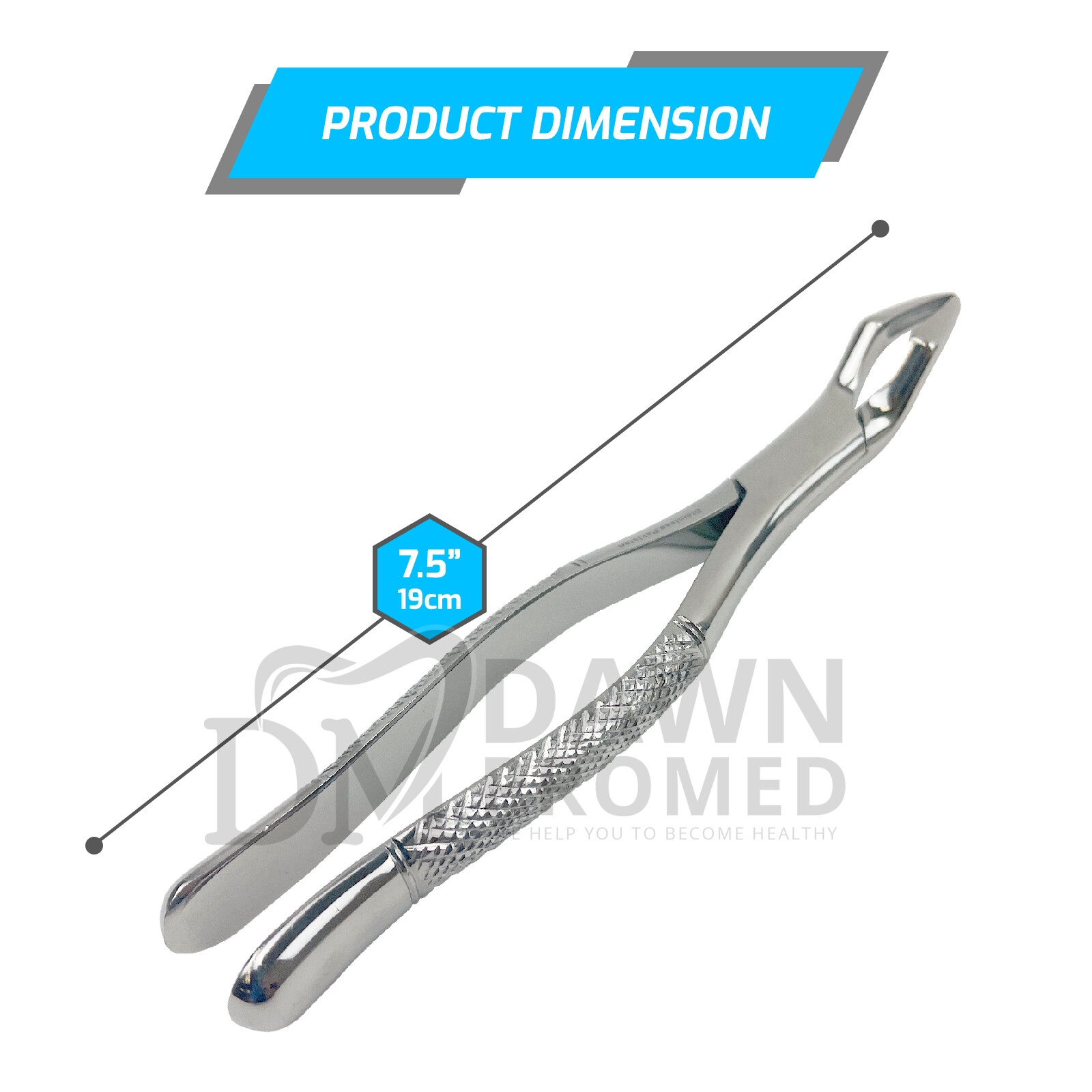 Dental Extracting Forceps #32A For Upper Cuspids, Bicuspids & Molars German Gr