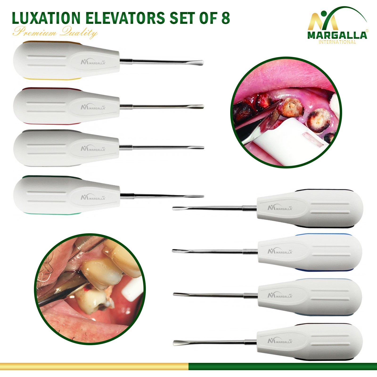 Dental Luxating Elevators Used in Oral Surgery Teeth Sockets Loosen Extraction