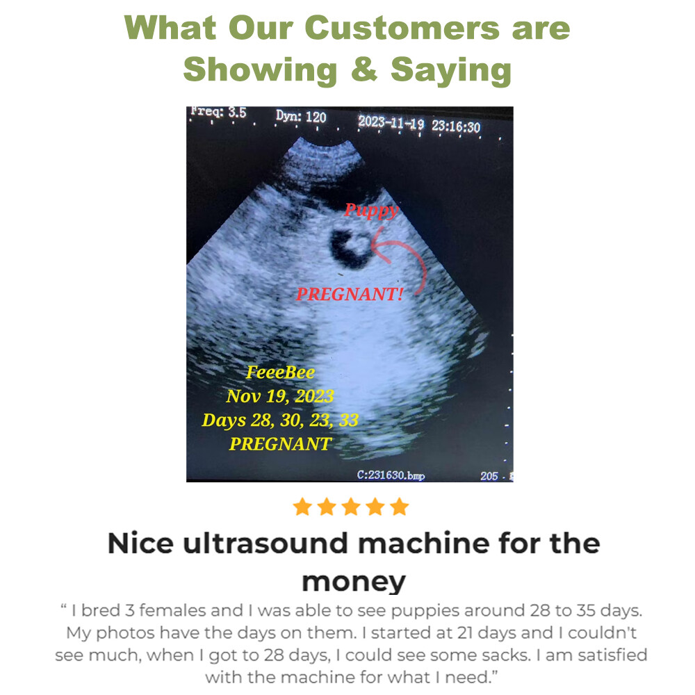 Veterinary Ultrasound Machine – Pregnancy Detection In Dogs, Pigs, Goats, Sheep