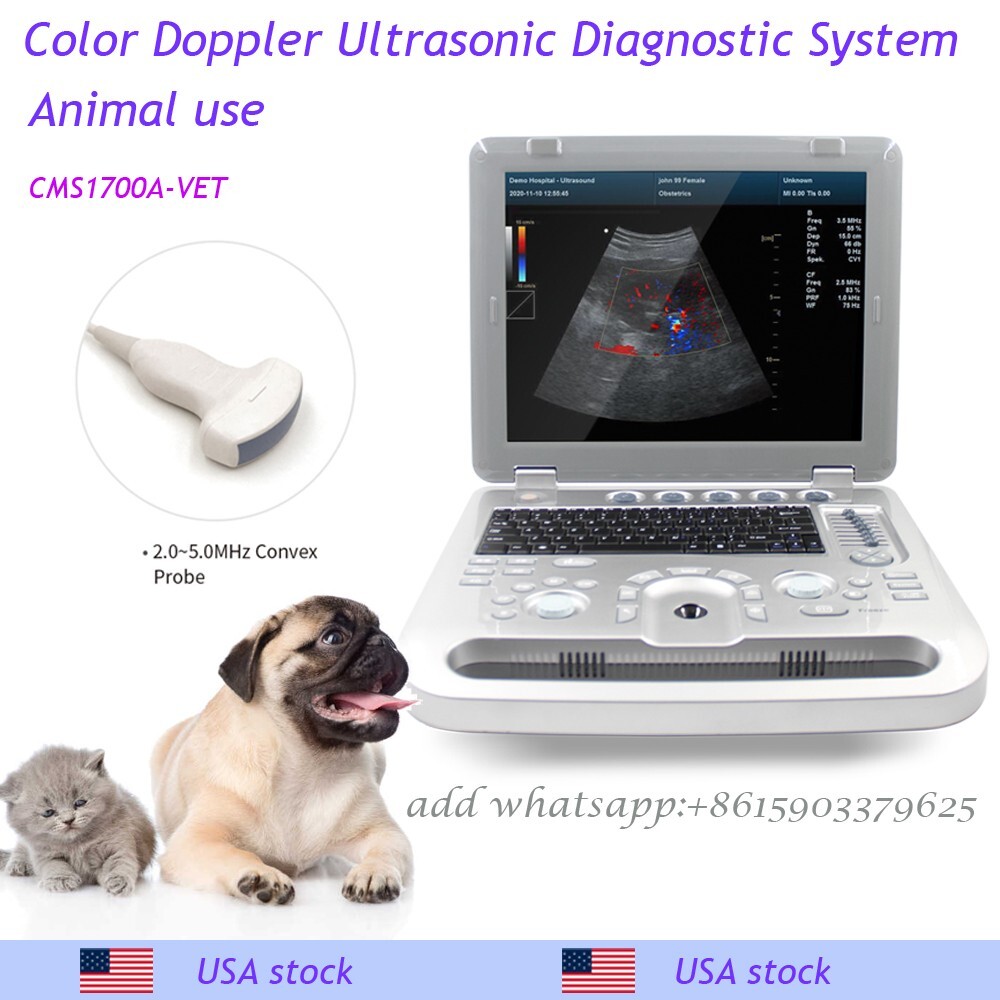 VET Veterinary Portable Ultrasound Scanner Laptop Machine Color Doppler,convex
