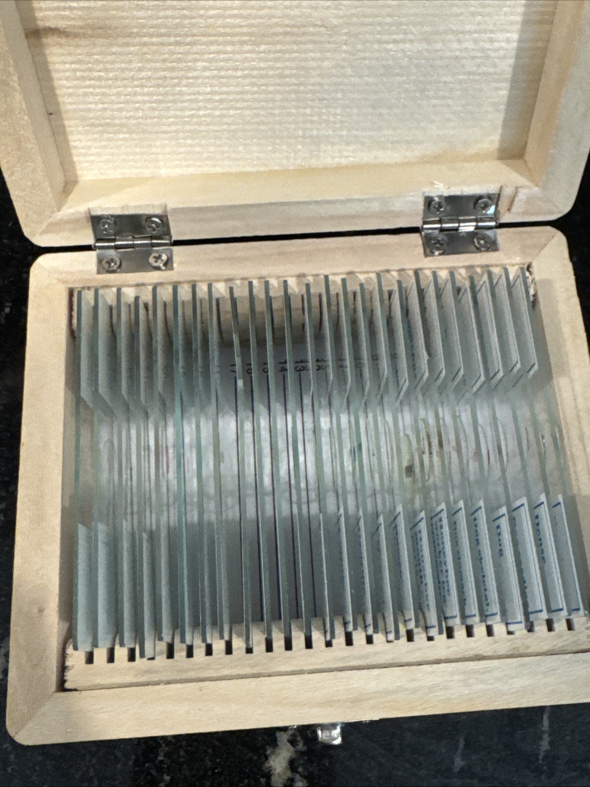 AmScope PS25W Prepared Slides