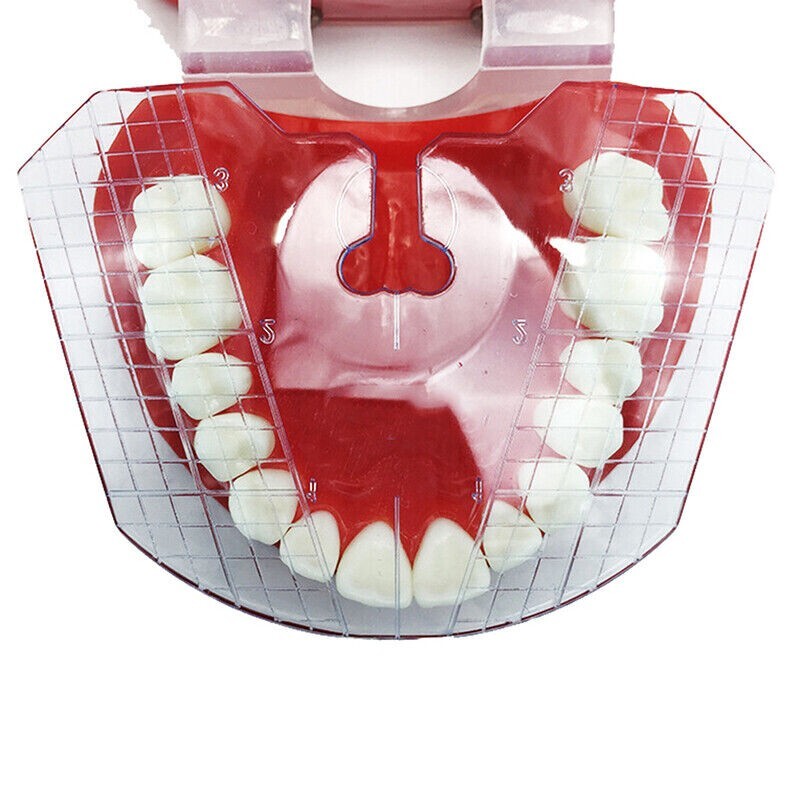 Dental Plastic Guide Template Plate For Denture False Teeth Arrangement Usd