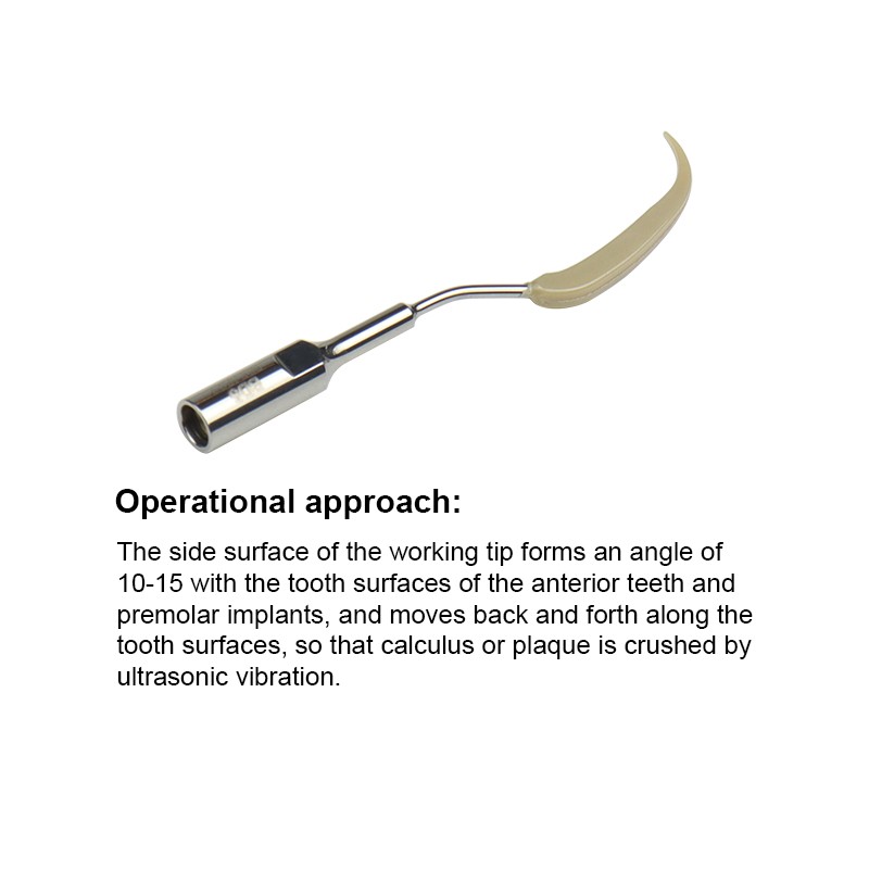 Ultrasonic Dental Scaler Tips Cleaning Implant Orthodontic Fit for SATELEC / DTE