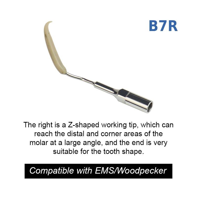 Ultrasonic Dental Scaler Cleaning Implant Tip Orthodontic Fit for EMS Woodpecker