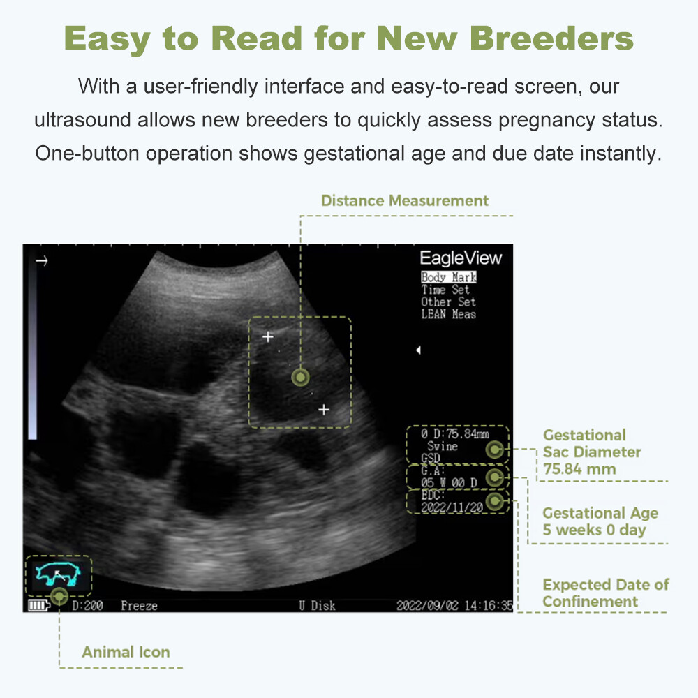 Veterinary Ultrasound Machine – Pregnancy Detection In Dogs, Pigs, Goats, Sheep