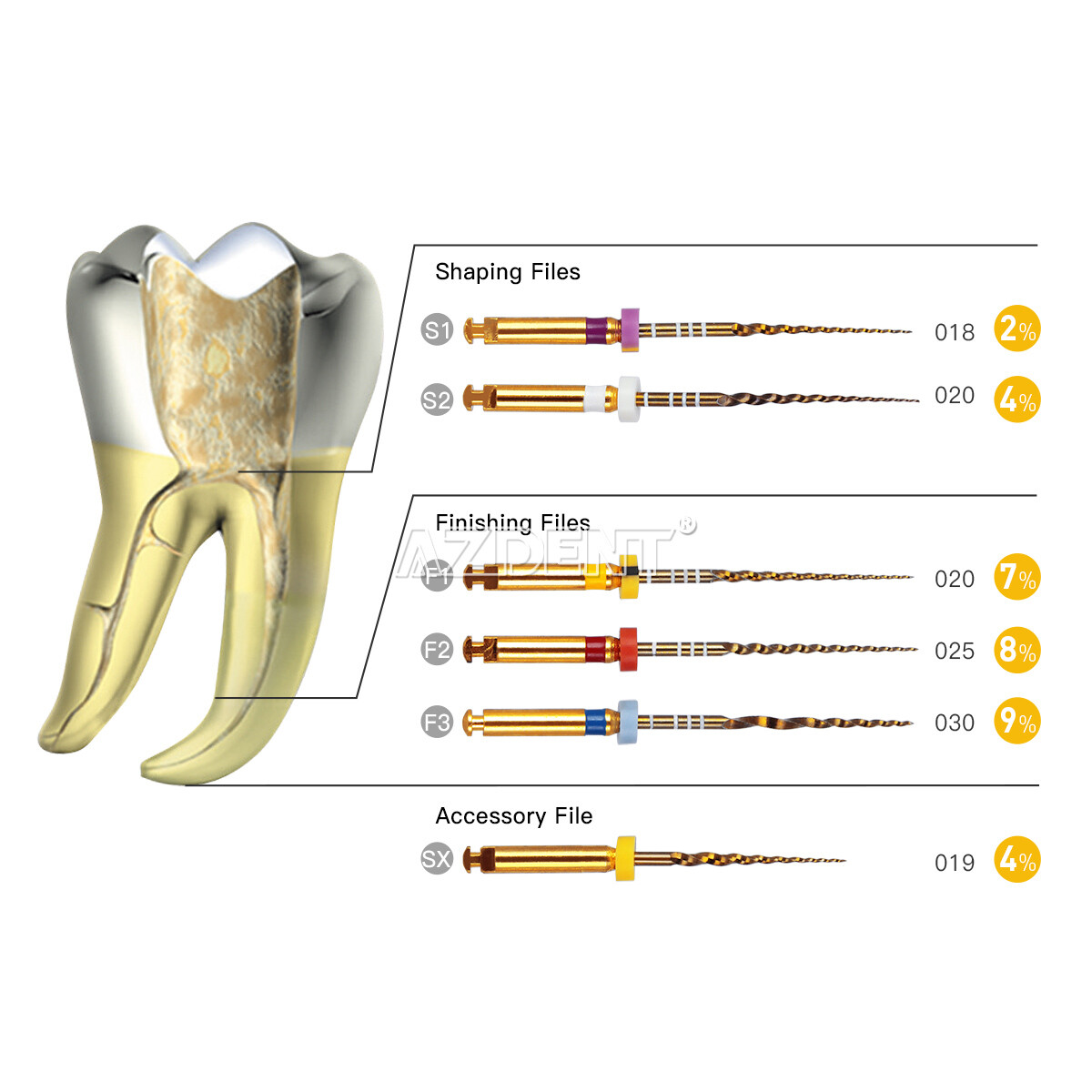 Diente Endodoncia Oro Taper NITI Archivos Rotativos Motor de Uso 25mm SX-F3