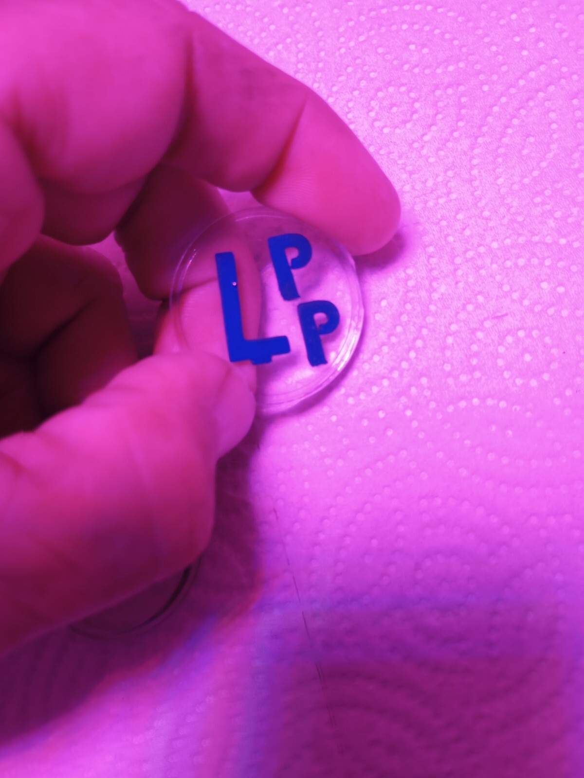 X-ray Markers With Initials PP One Set Ready To Ship