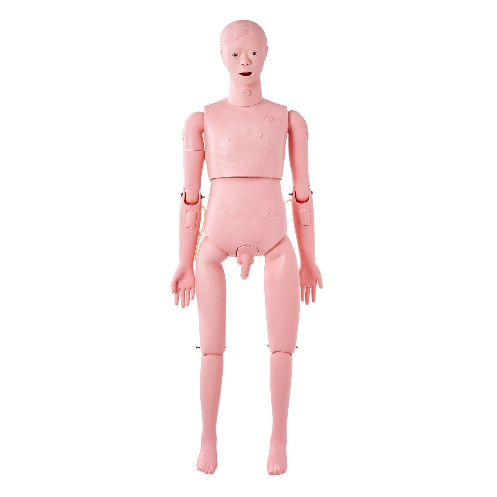 Male Patient Simulator Full Body with Realistic Joint Articulation