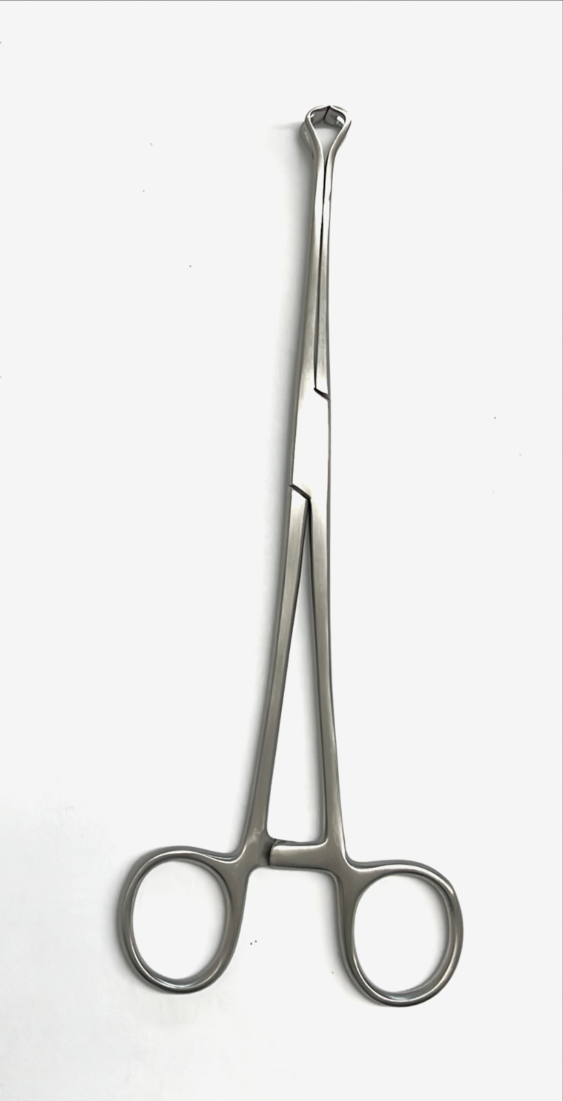 BABCOCK FORCEPS 6.5″ SURGICAL, MEDICAL, FISHING PLIERS,ARTS, CRAFTS AND HOLDER