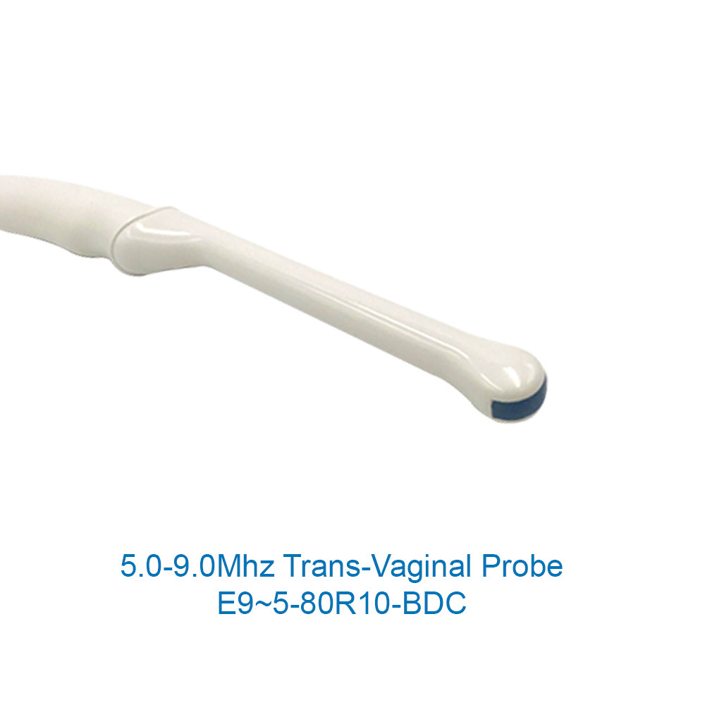 Portable Ultrasound Scanner Color Doppler Laptop Machine Convex TransVaginal CF