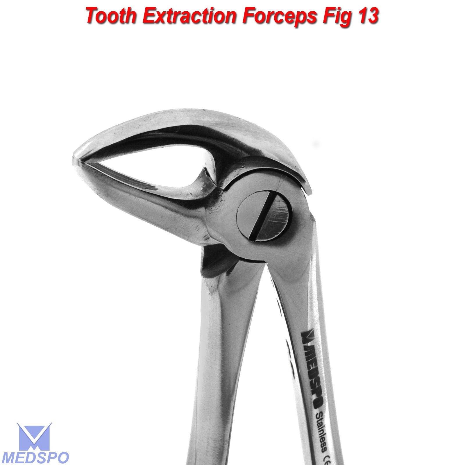 Surgical Lower Premolar Extraction Forceps Fig-13 Dental Tooth Extracting Pliers