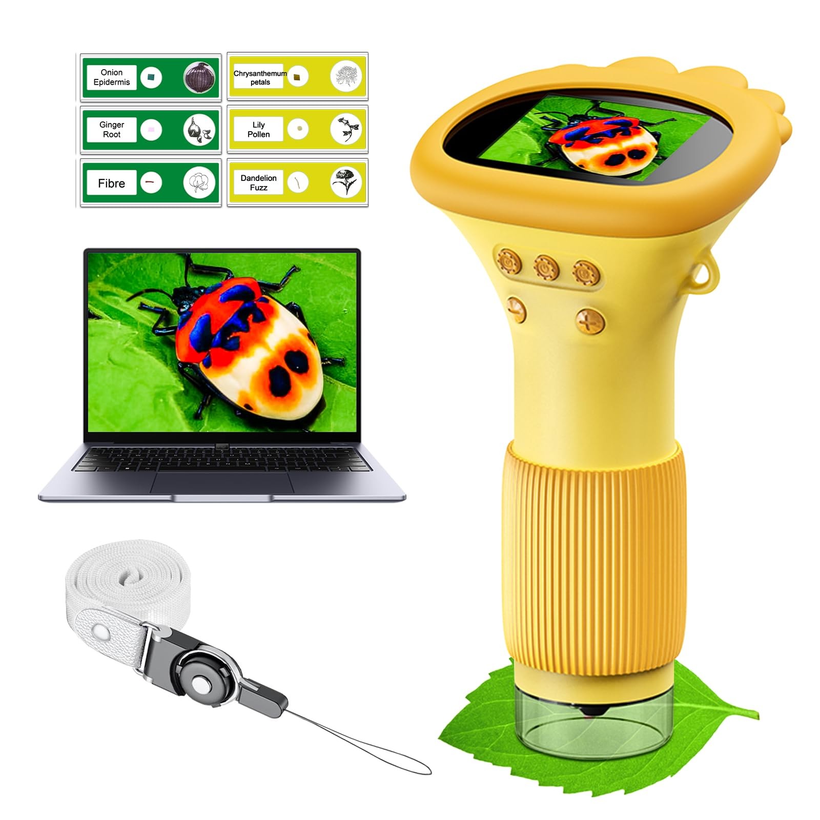 Kids Microscope 100X-1000X Portable Digital for 3-10 Years – Explore Nature