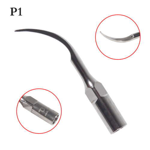 Dental Ultrasonic Scaler Tips Scaling Perio P1 Fit EMS Woodpecker Handpiece