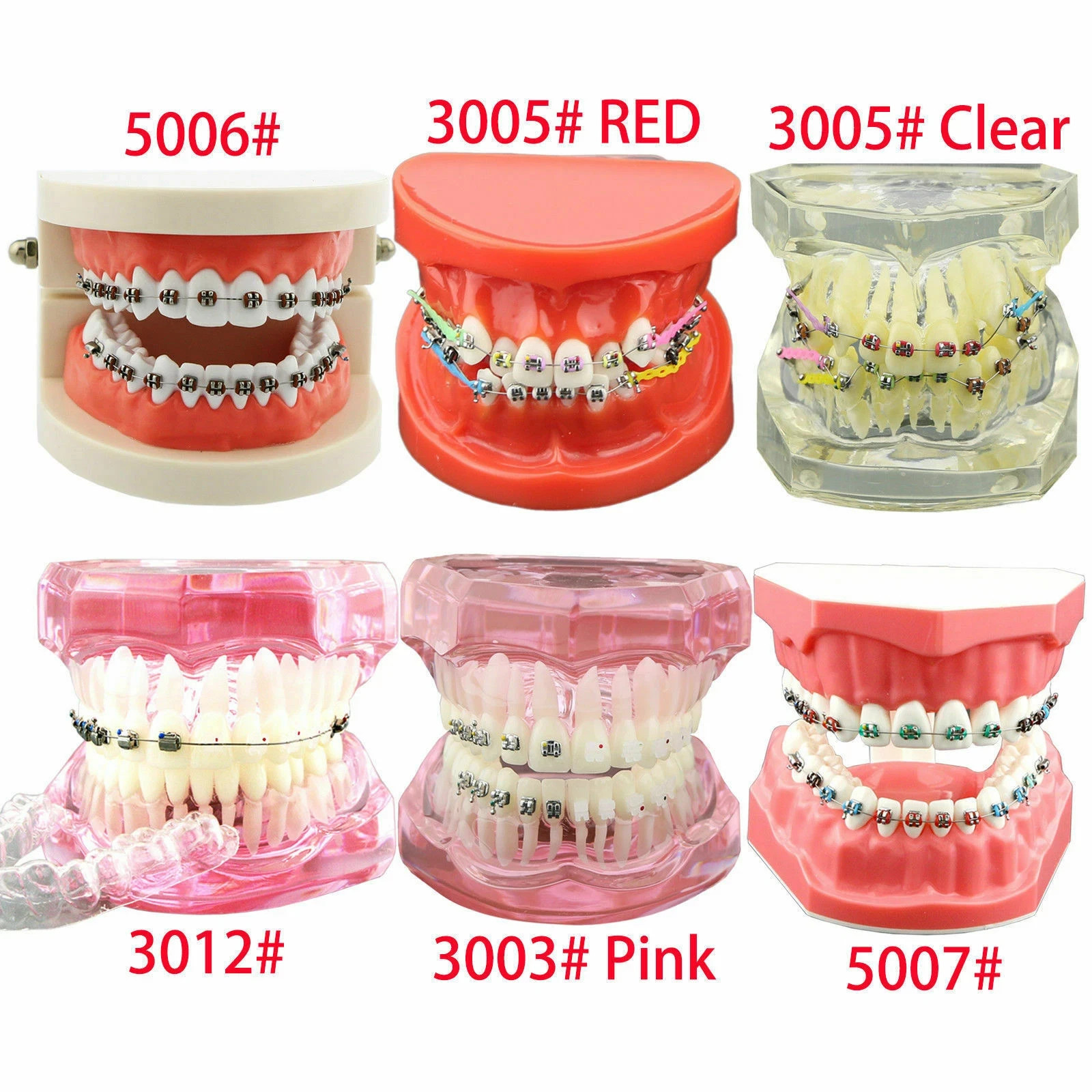 Dental teeth Model Preparation Training Teaching Ortho Implant Typodont Demo