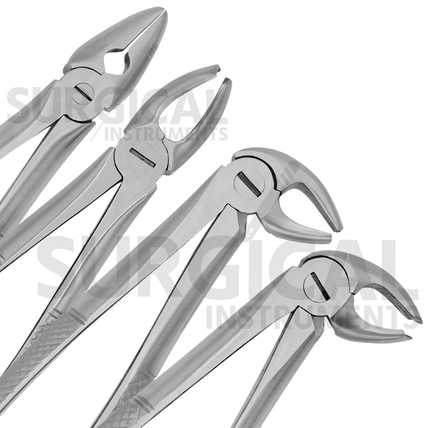 74 Pcs Oral Dental Extraction Surgery Extracting Elevators Forceps German Grade