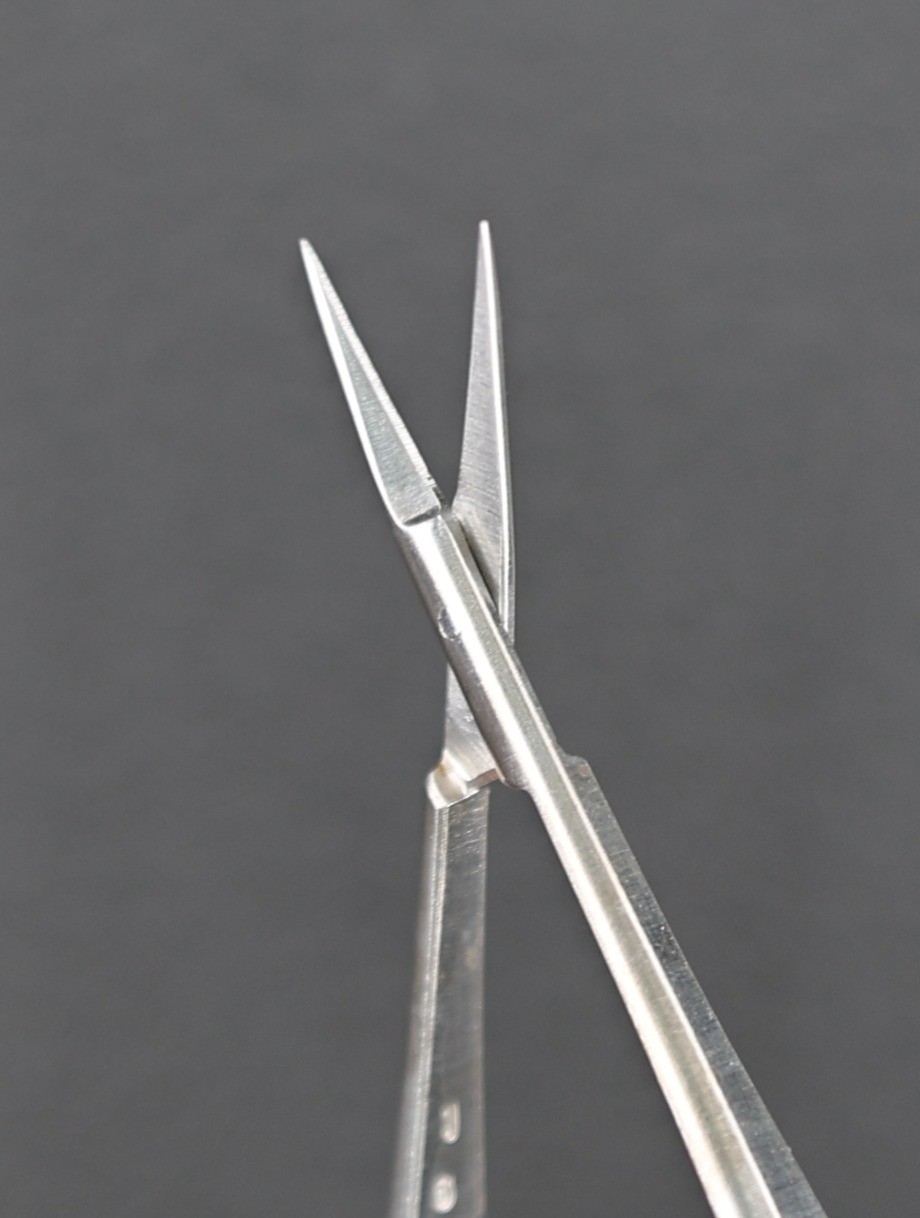 ASSI ASSI.SAS15S Adventitia Suture Scissors, Straight, Sharp/Sharp, 15cm