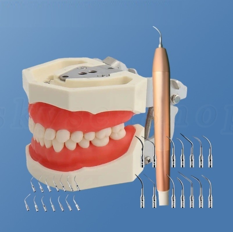 Dental Ultrasonic Scaler Air Polisher 2 in1 Sandblasting Perio Therapy System