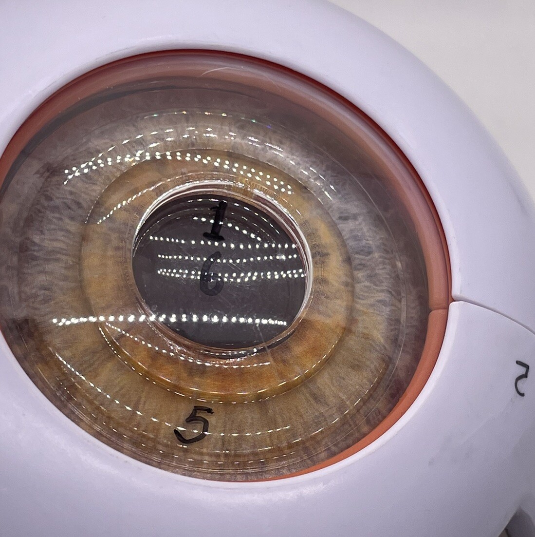 Human Eye Eyeball Model 6” Plastic **NEW** No Stand or Box US SELLER