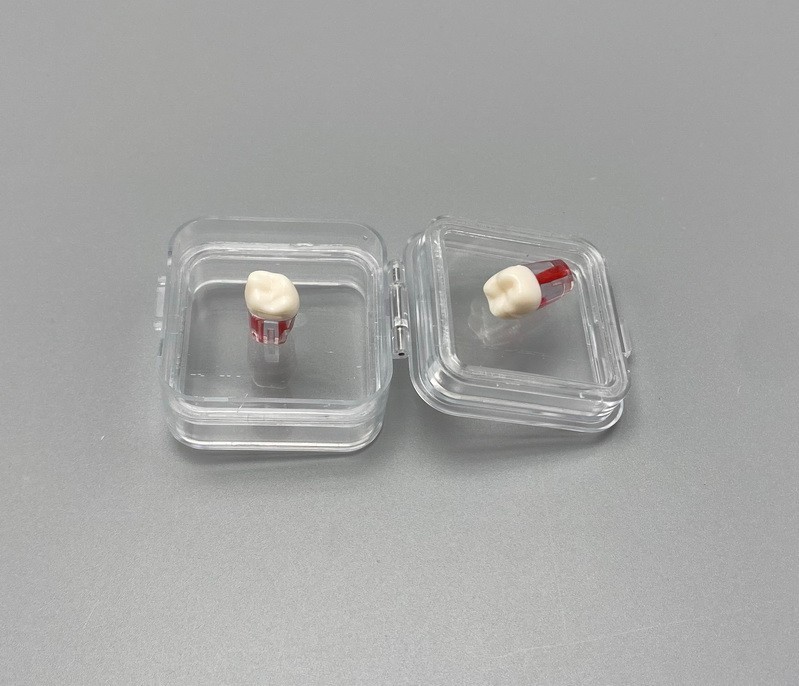 10Pcs Dental Denture Storage Box Tooth Boxes Veneer Membrane Case 50*50*25mm