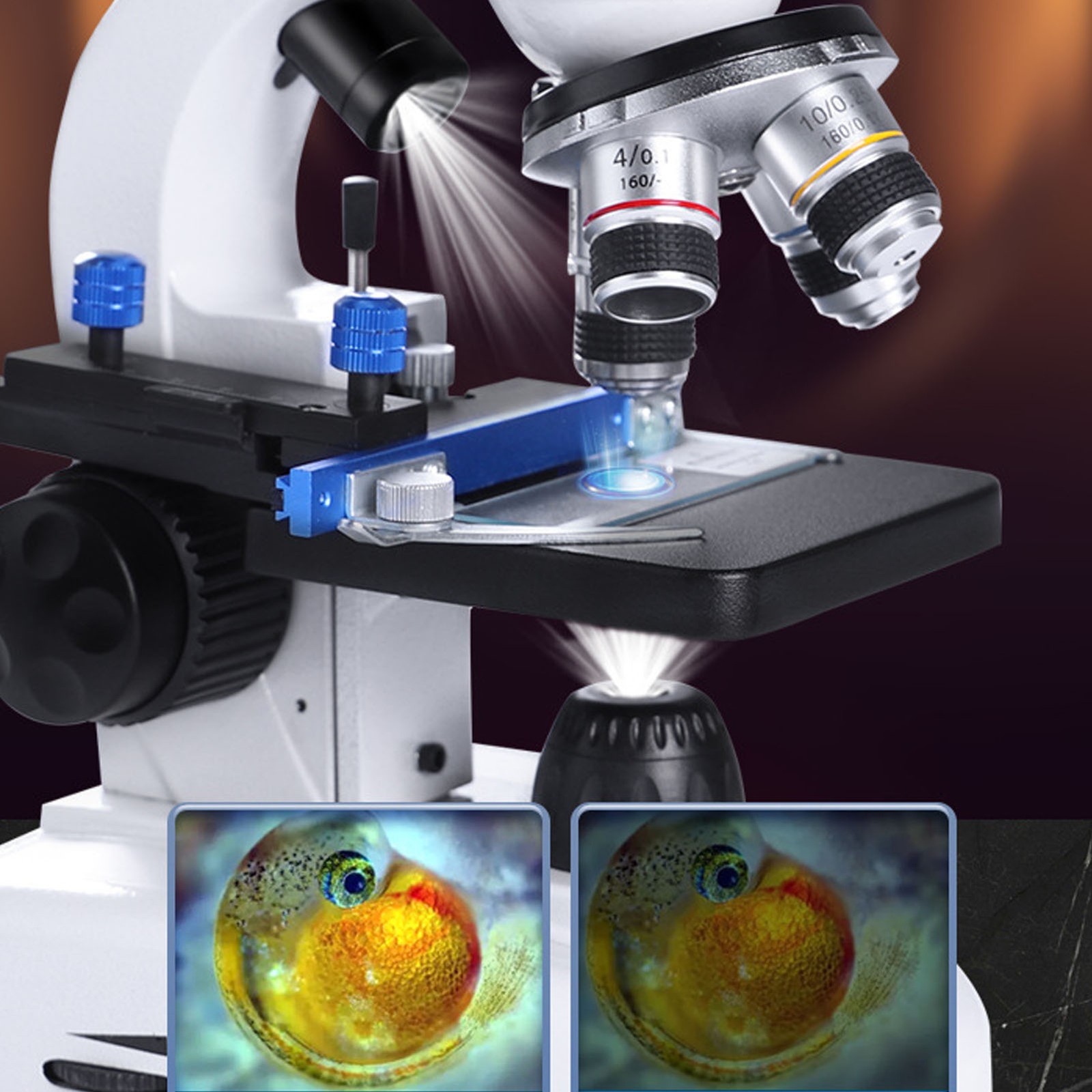 US Plug Binocular Microscope 40X‑5000X 360° Rotation Clear Image High WT