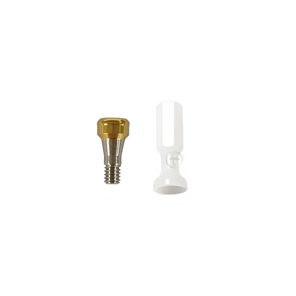 Locator abutment only abutment fit to OSSTEM platform Mini Regular GH1-6
