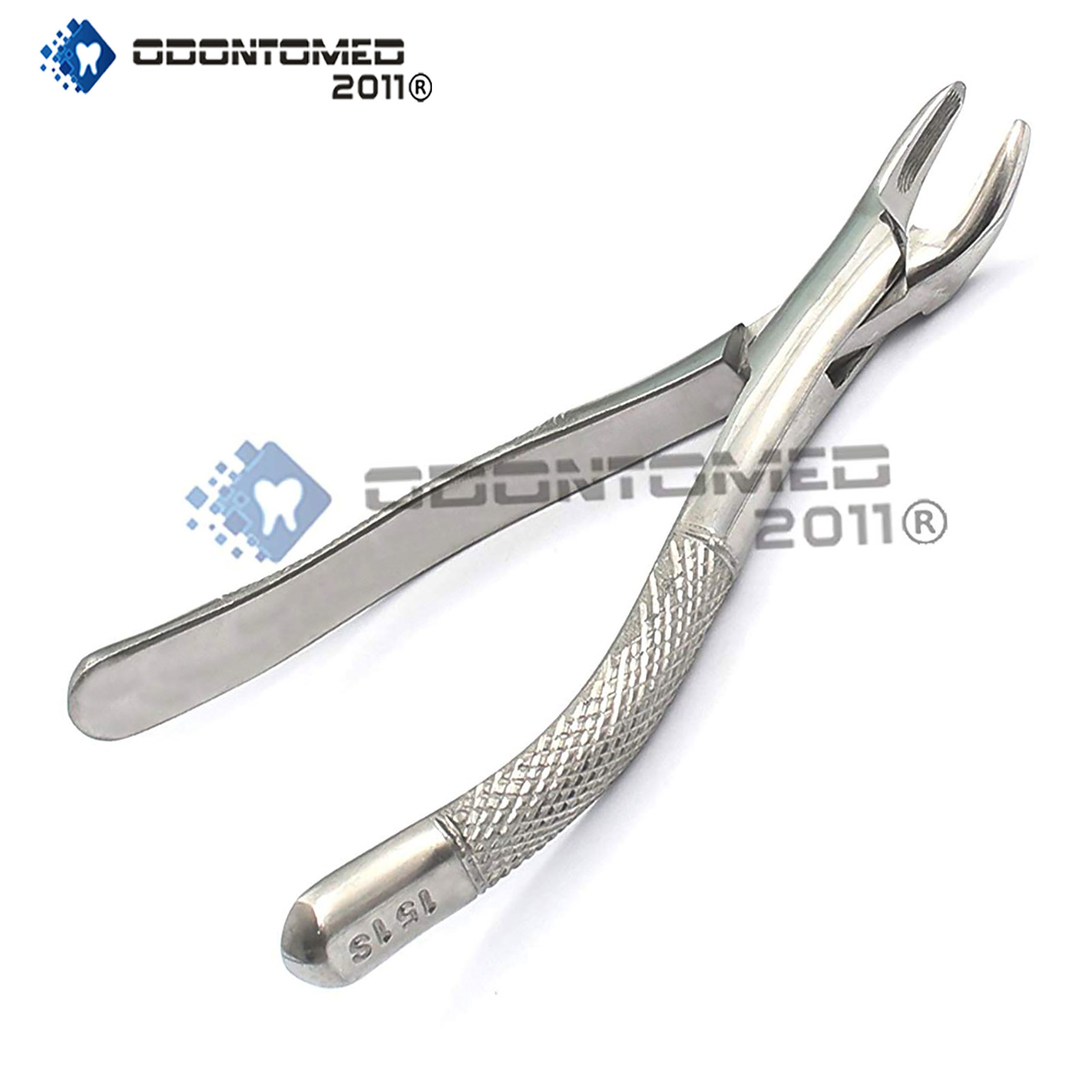 Pedo Extracting Forceps #151s Dental Surgical Instruments