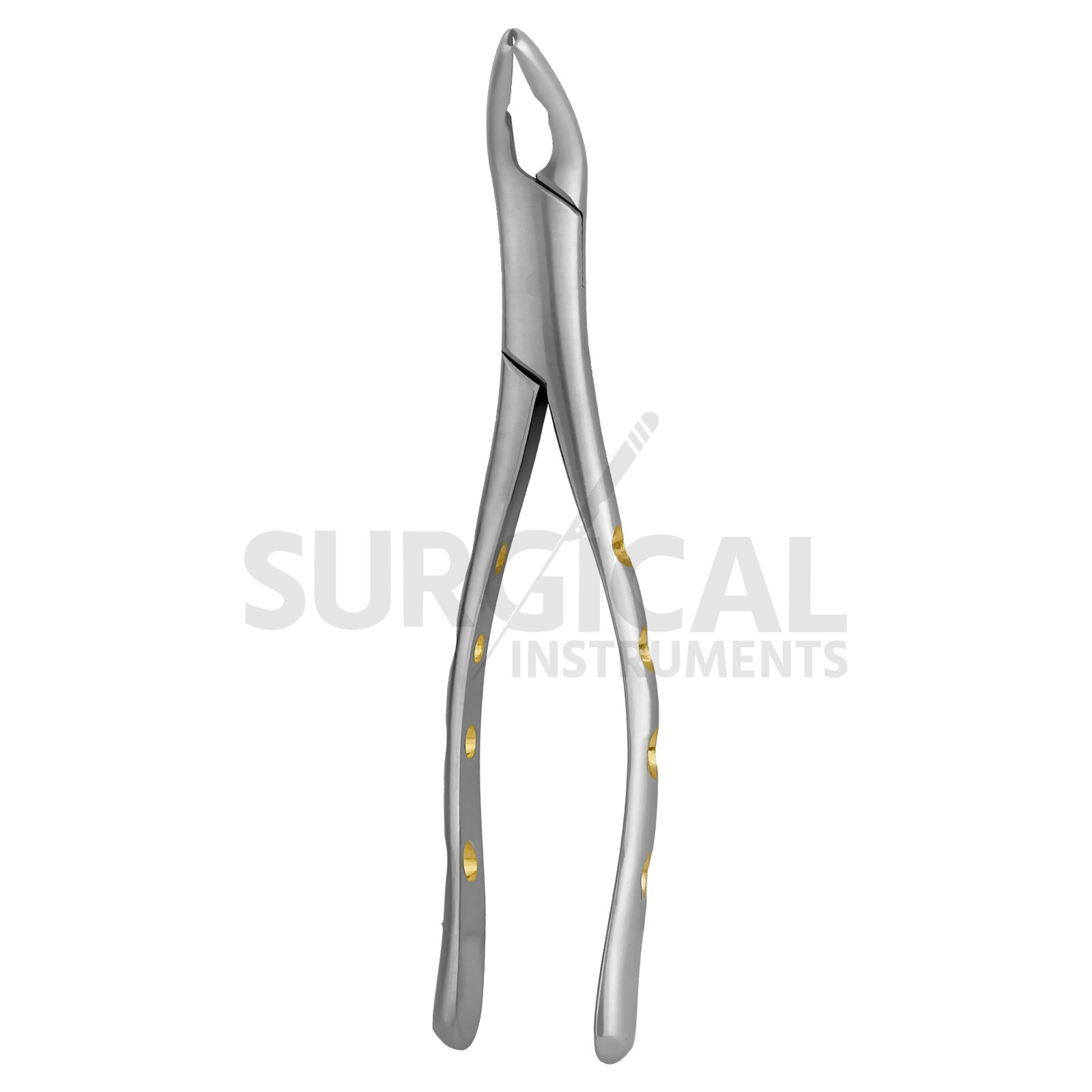 Heavy Duty Extraction Forcep #151 Gold Hollow Python Grip German Grade Pattern-2