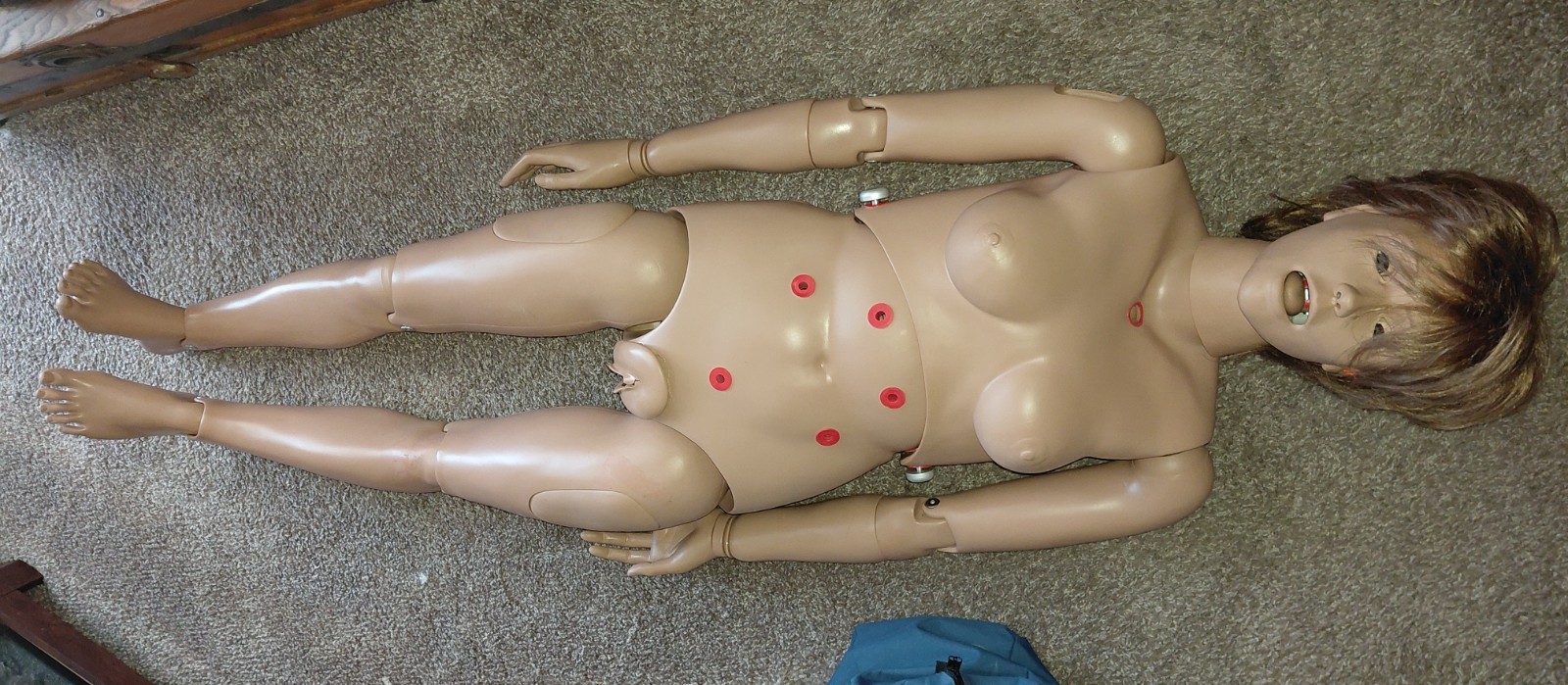 Laerdal 325-05050 Nursing Anne Full Body Medical Manikin Vitalsim With Manual