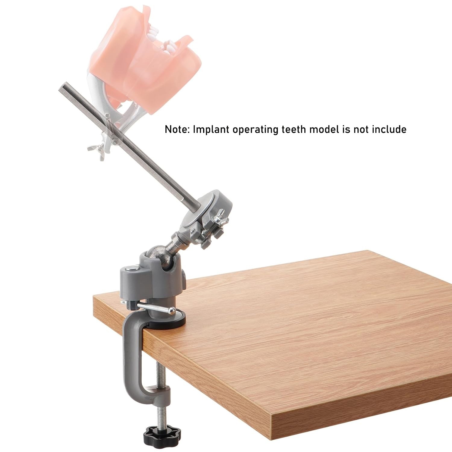 Dental Typodont Mounting Pole For Columbia Kilgore Nissin Frasaco Teeth Model