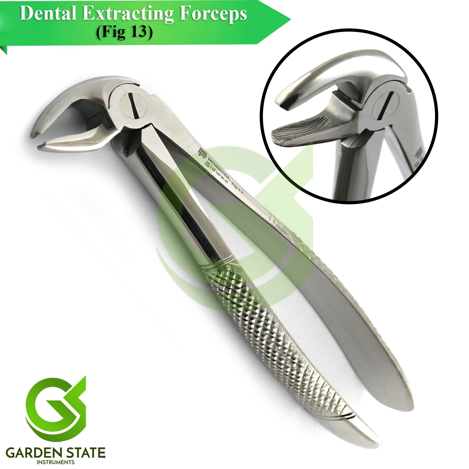 Lower Premolar Tooth Extraction Forceps Fig 13 Dental Extracting Pliers