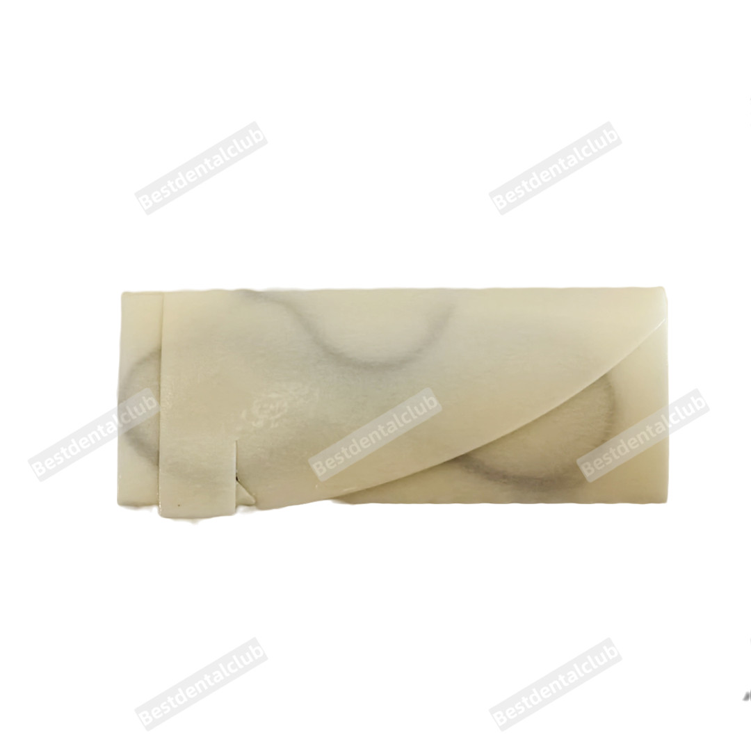 Chromic Gut Absorbable Dental Natural Traning Reverse ﻿
