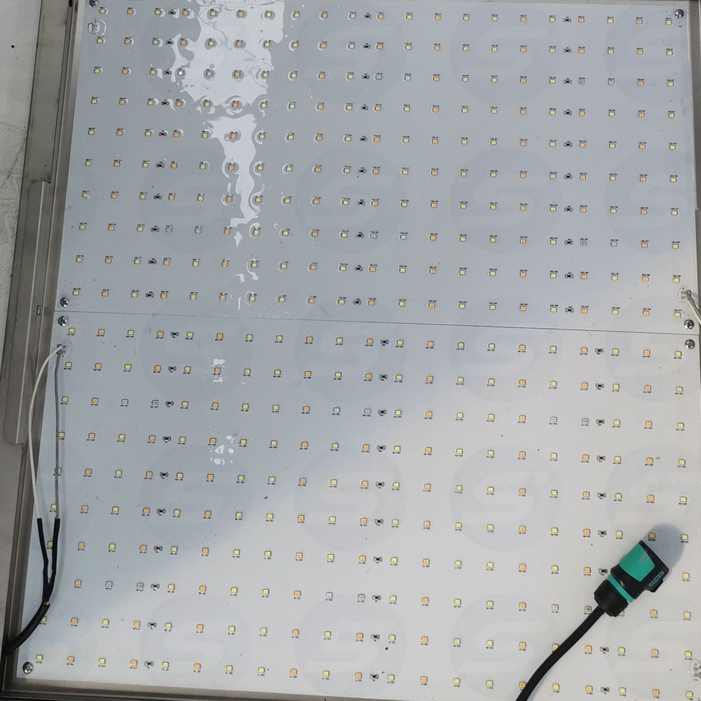 450L Climate Chamber with Illumination Humidity Plant Growth Chamber Incubator