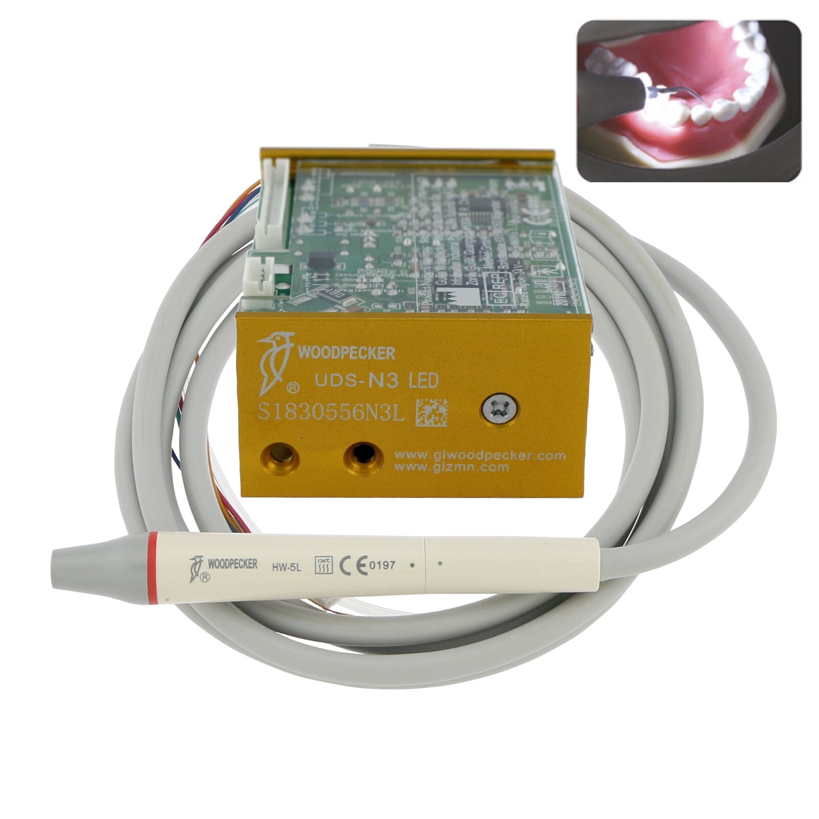 Woodpecker Dental Ultrasonic Piezo Scaler Built in LED Handpiece Tips EMS UDS