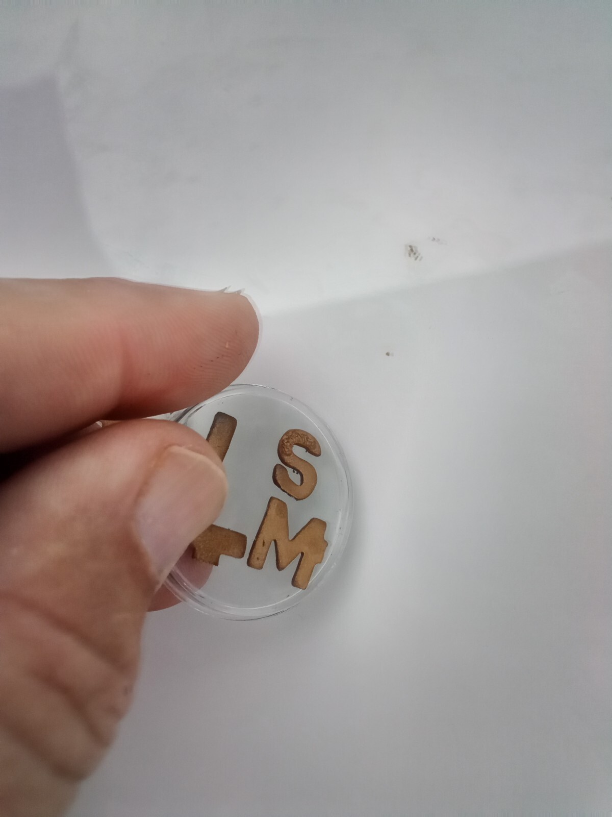 X-ray Markers With Initials (SM) Ready to ship.